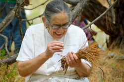 Emprendimientos en ANPs