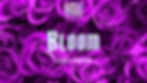 HARSHMELLOW presents.. BLOOM