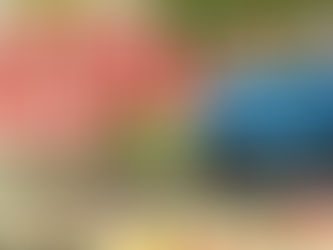 イベントのお知らせ