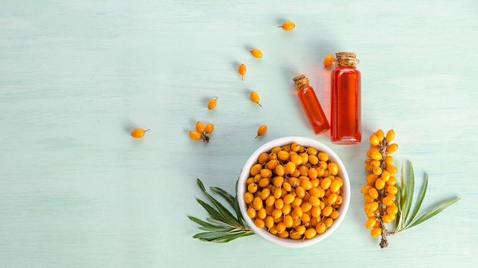 Benefits of Sea Buckthorn