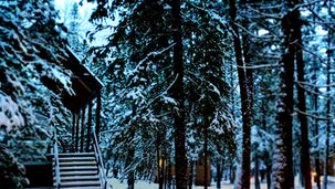 A winter landscape in blue, with snow, and lights on trees.