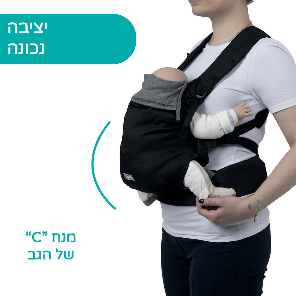 תמונה ממוזערת: מנשא סקין פיט – Skin Fit