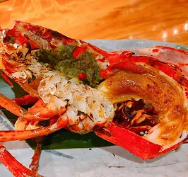 酒晴 おまっとさん 絆 銀座 おばんざい 和創作料理 日本酒 甲殻類 Kizuna Tokyo 酒晴 おまっとさん 絆 銀座 おばんざい 和創作料理 日本酒 甲殻類 Kizuna Tokyo