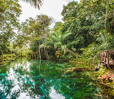 Bonito, Mato Grosso do Sul, Turismo, Brasil, Brazil