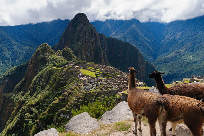 LHAMAS MACCHUPICCHU_AdobeStock_211203775.jpeg