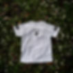 _DSC0587.jpeg