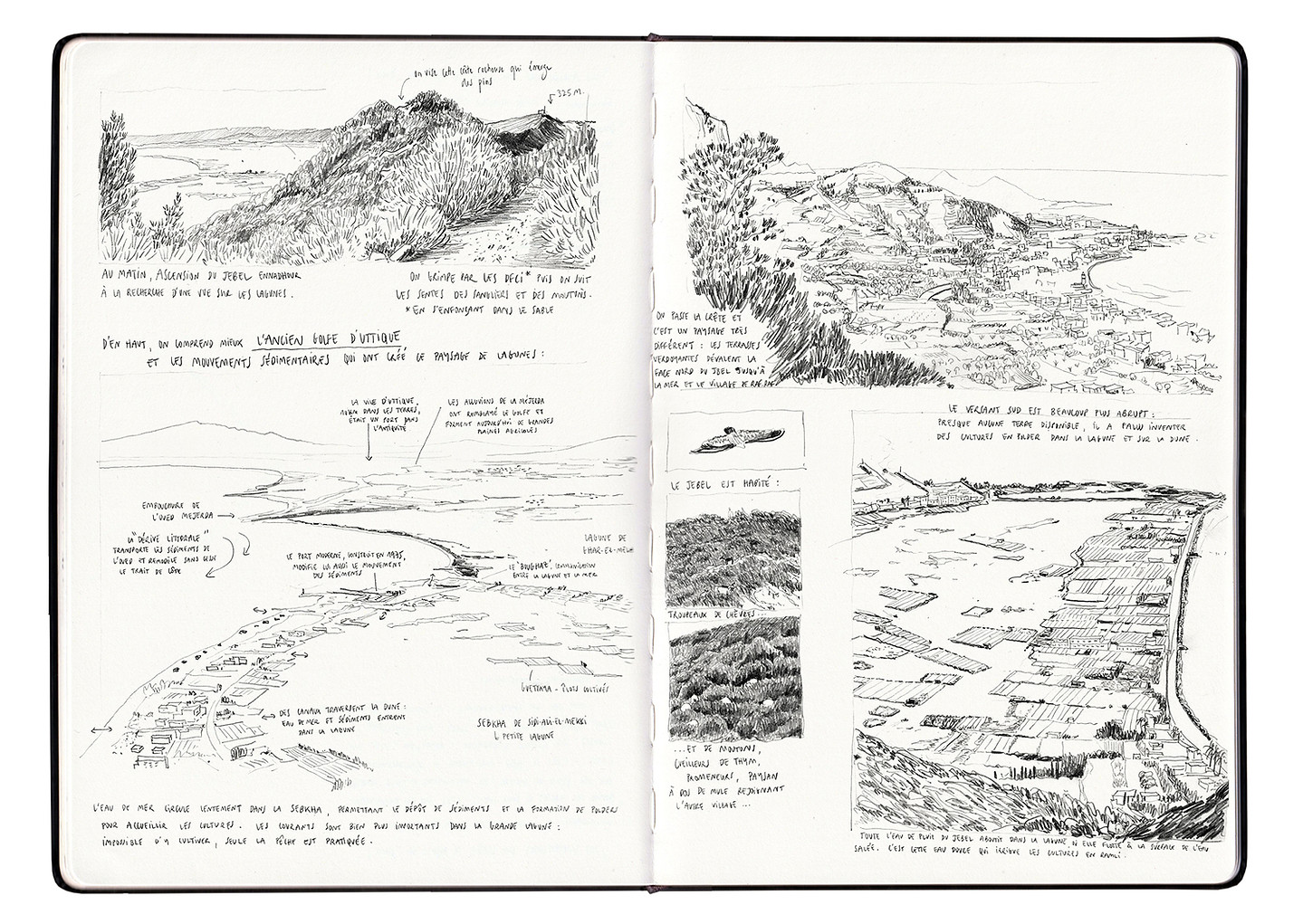 Ramli Page 1_0,33x.jpg