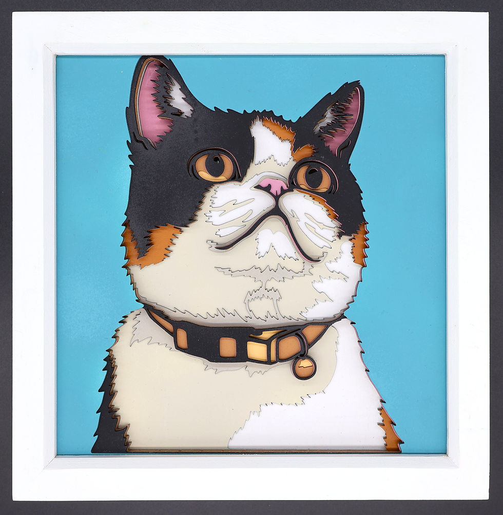 Tricolour Exotic Shorthair Cat Layered Portrait