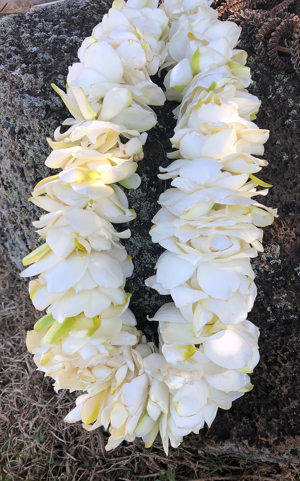 Gardenia Lei