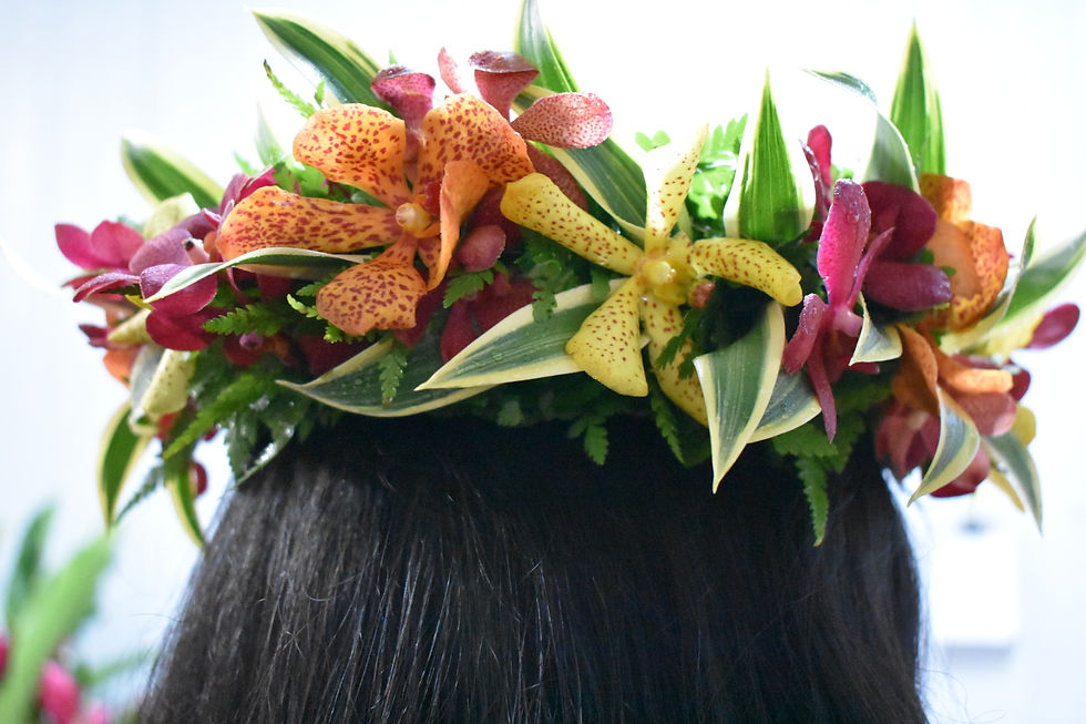 Orchid 3