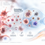 Learn the difference between platelet-derived exosomes and extracellular vesicles, including their origin, terminology, isolation and characterization.