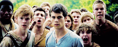 tumblr_nesczaWPY21sagvlzo3_500.gif