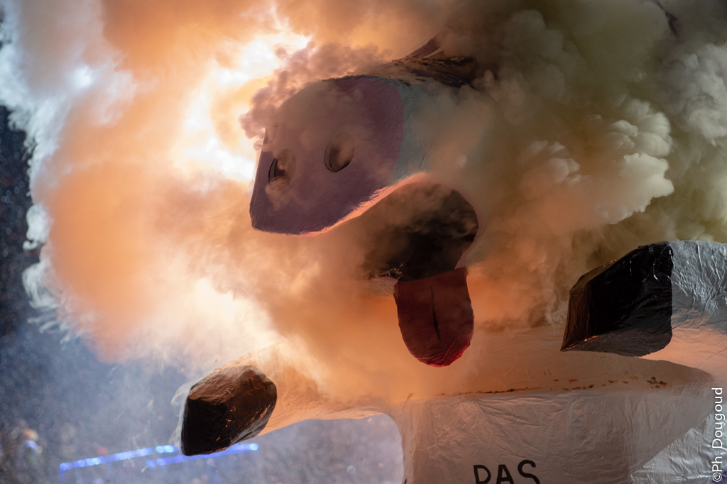 CF-2019-web-4264