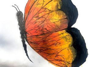 הפרפרים והאמנות: יופי שלא צריך להימשך כדי להיות נצחי