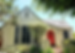 cal heights home for sale_edited.png
