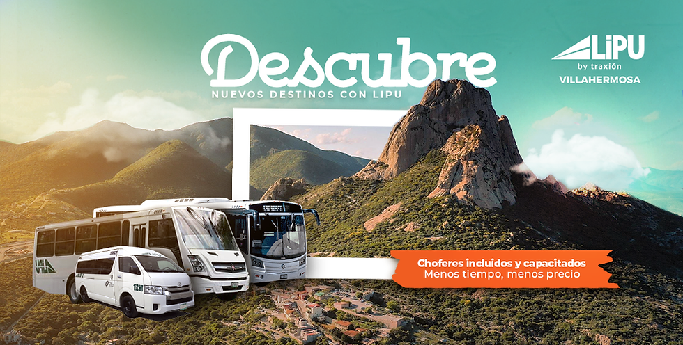 BUSQUEDA 1.png