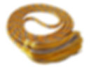 Bright Gold-Silver/Grey