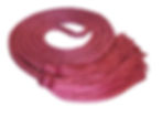 Fuchsia (Rose)