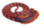 Royal-Orange-Red