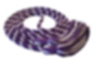 Purple-White