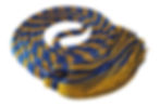 Royal Blue-Bright Gold
