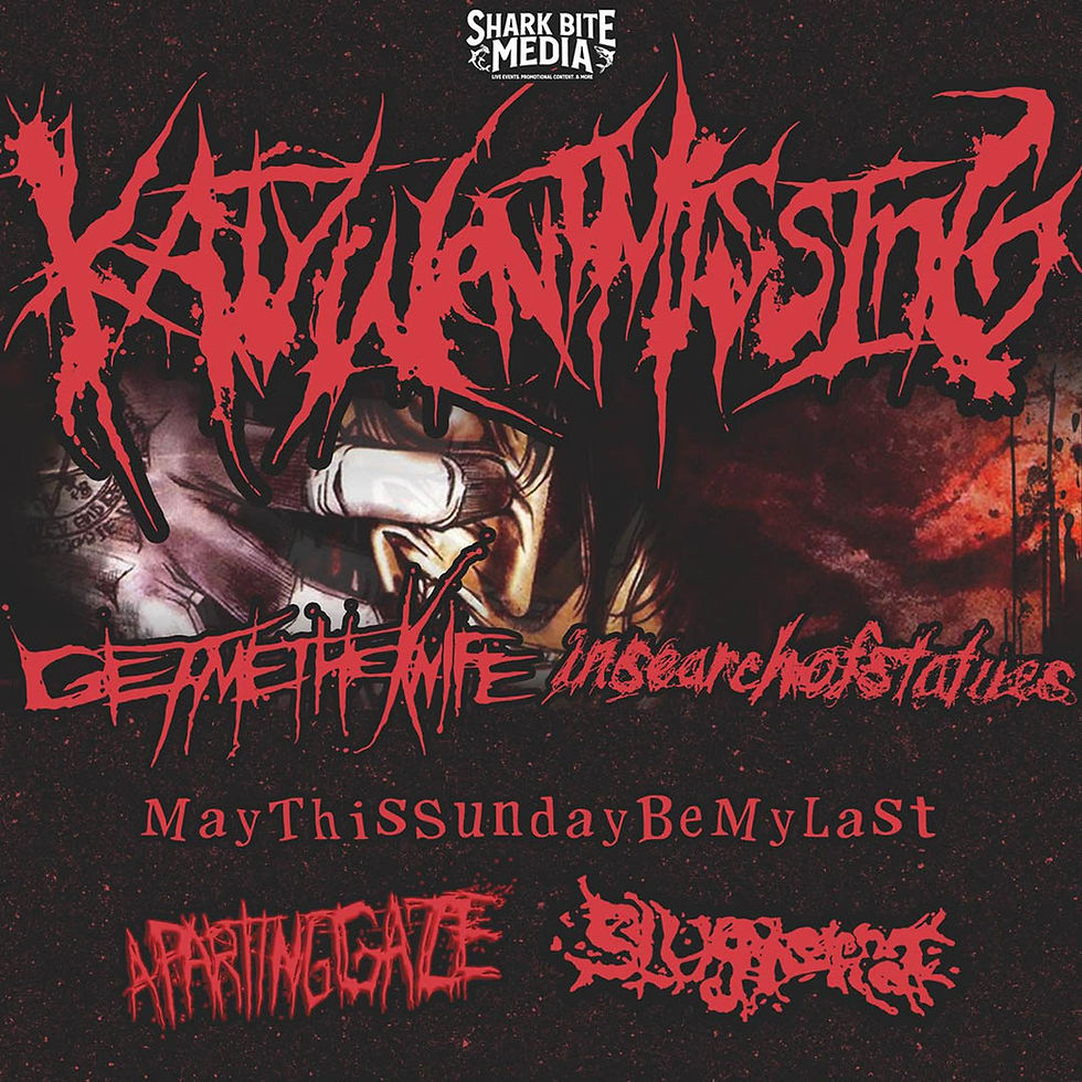 KatyWentMissing