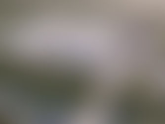 Foresight Energy Infrastructure Partners II Invests in German Battery Storage Developer Mirai Power