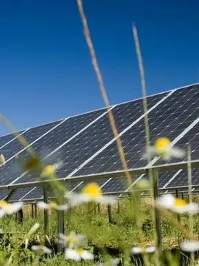 UK Approves Largest Solar Farm as Record Solar Output Signals Energy Transition Acceleration