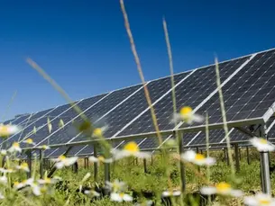 UK Approves Largest Solar Farm as Record Solar Output Signals Energy Transition Acceleration