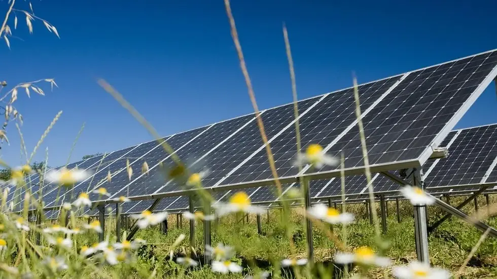 UK Approves Largest Solar Farm as Record Solar Output Signals Energy Transition Acceleration