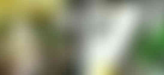 Hundertwasser Haus | Diseño Residencial