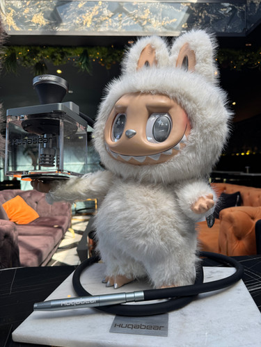 Labubu Zimomo Huqabear Limited Edition. | Huqabear