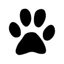 paw-print-vector-icon.jpg