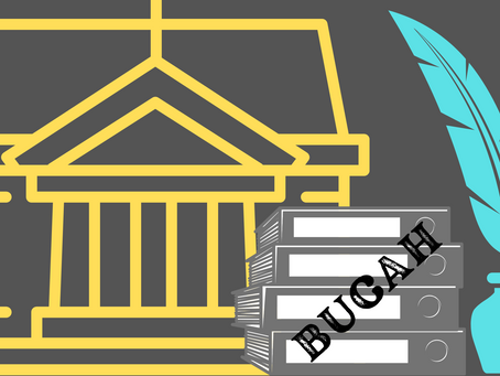 Federal and State Prosecutors Target BUCAHs with Legal Action