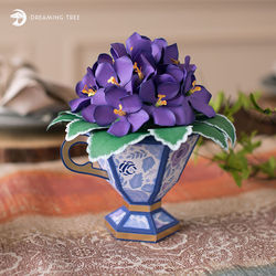Teacup African Violets