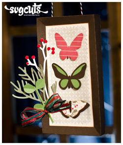 Framed Butterflies Box