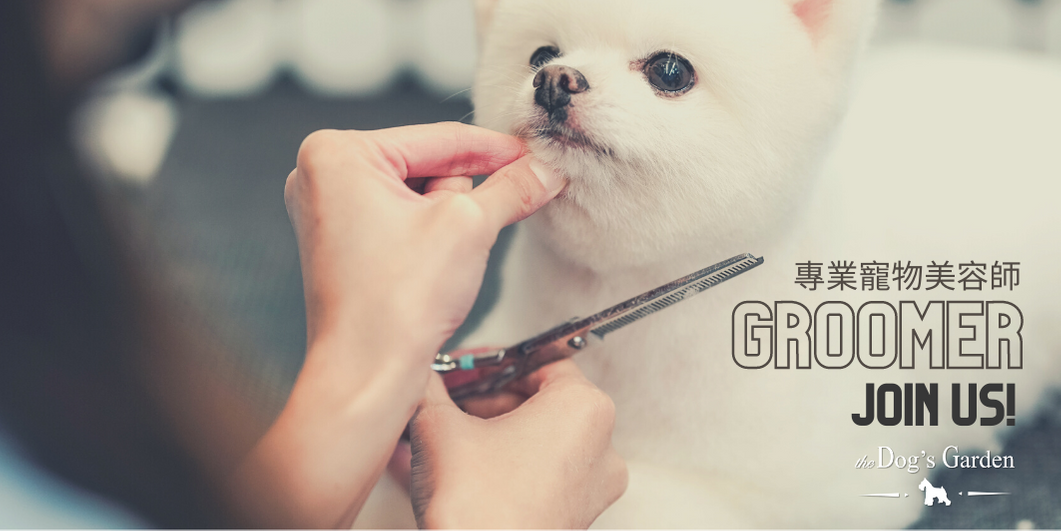 Groomer hiring the Dog’s Garden