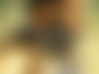 First Reviews For Azaad Are In: Does the New Duo Shine or Stumble in Bollywood Debut?