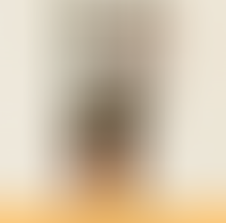 What Will The Studio Season 2 Bring? Plot Predictions for Seth Rogen’s Apple TV+ Hit