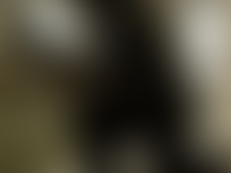 The Billionaire's Blueprint: 6 Reasons You Cannot Ignore Tom Cruise's Digger