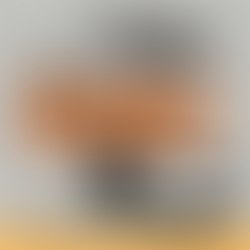 Unveiling The Bride! First Reactions: A Bold Gothic Romance