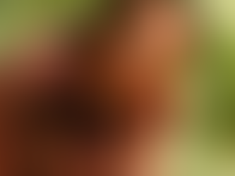 Is Sam Raimi Finding New Life in the Tropics? A Deep Dive into Send Help’s Box Office Tracking Data