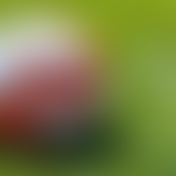 Winter-Vorbereitungsplan 2022/23