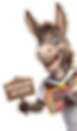 Esel-SportGruner.png