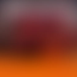 2. Platz bei den Damen-Hallenbezirksmeisterschaften