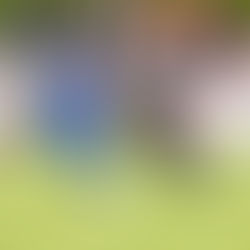 Unser Erste dreht das Spiel gegen F.A.L. und gewinnt 2:1