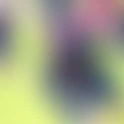 Türk. SV Singen setzt sich klar durch