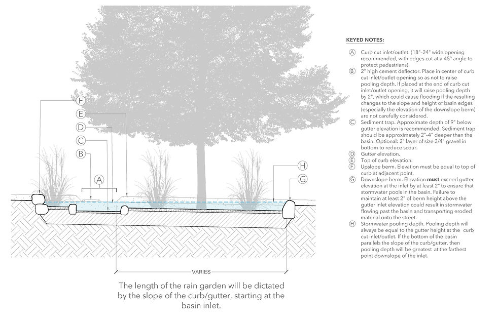 Rain Garden Eddy Final-11in x 17in Page 3.jpg