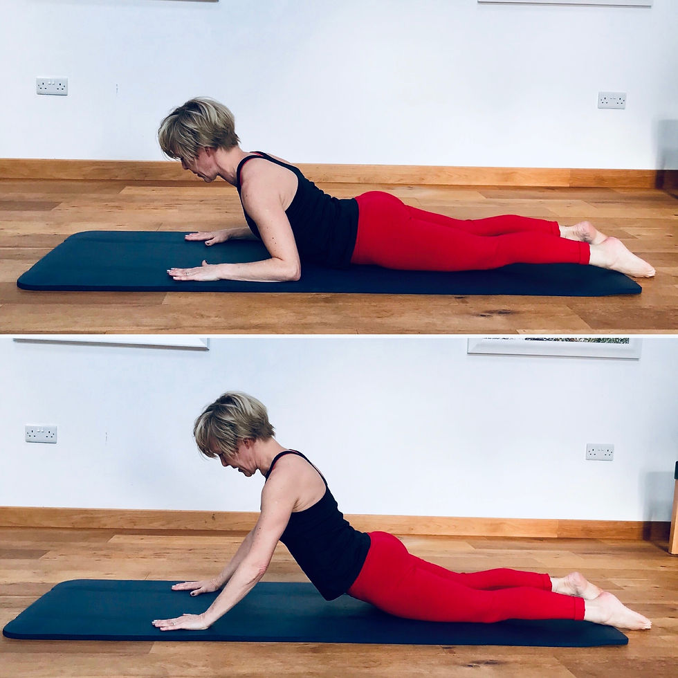 Swan Prep
