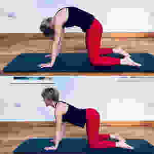 Cat Cow Pilates